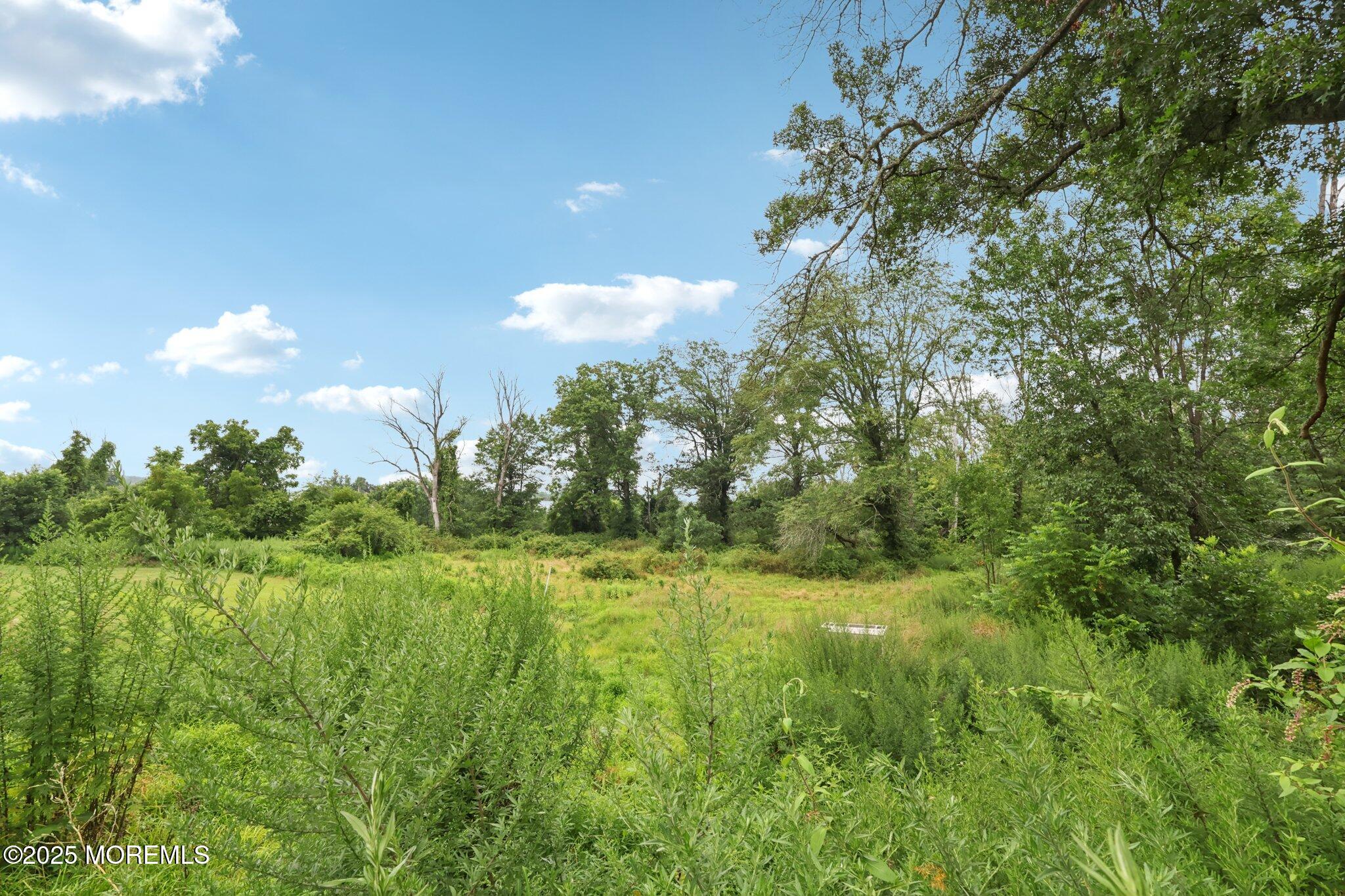 81 Titus Mill Road Pennington, NJ 08534 - Photo 12 of 27 33-web-or-mls-81 Titus Mill Rd-S0708-033