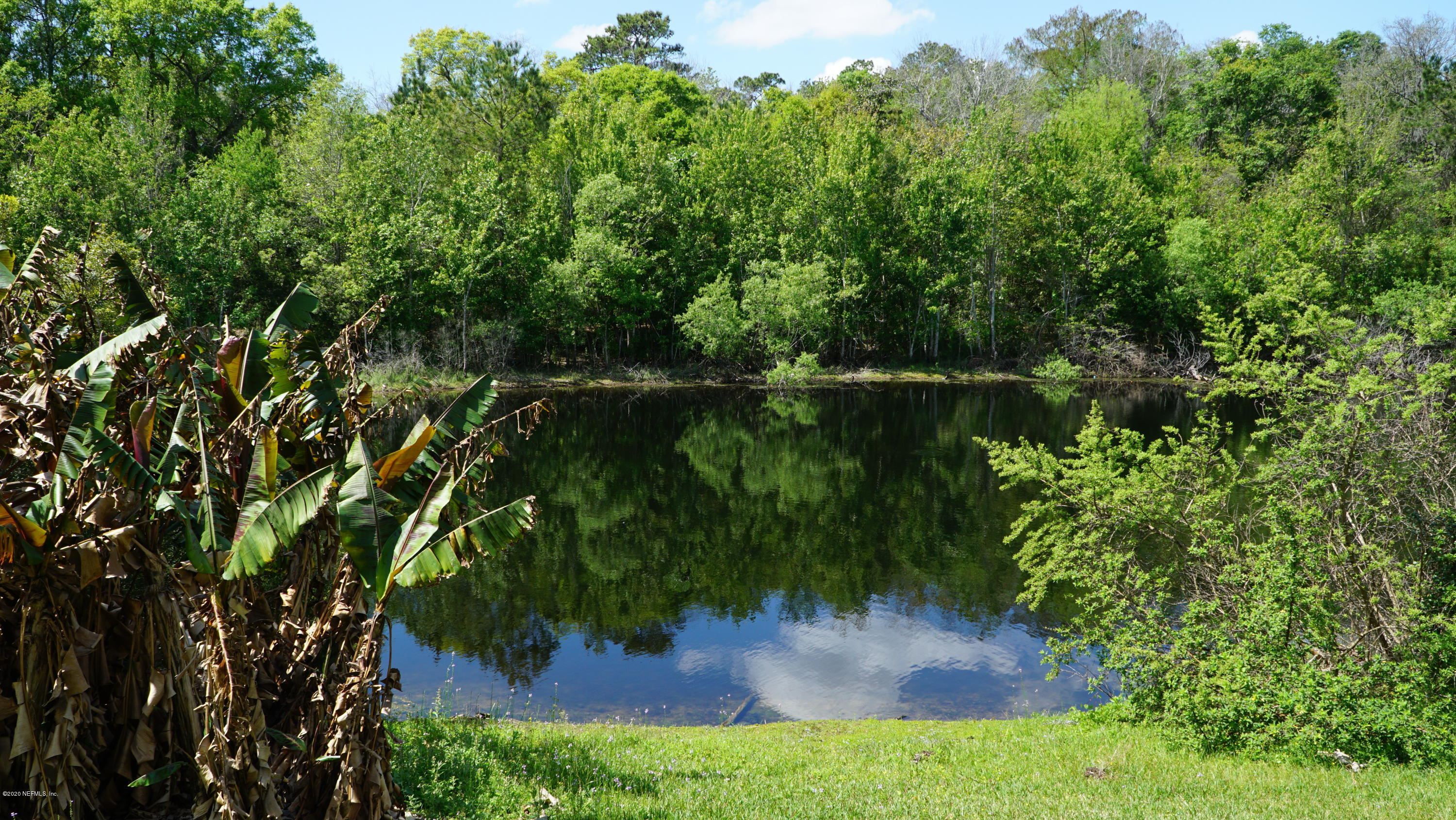 Back Yard View