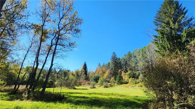 $236,250 | 0 Wagner Road, Arkport, NY 14807