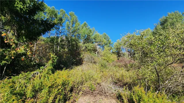 $236,250 | 0 Wagner Road, Arkport, NY 14807