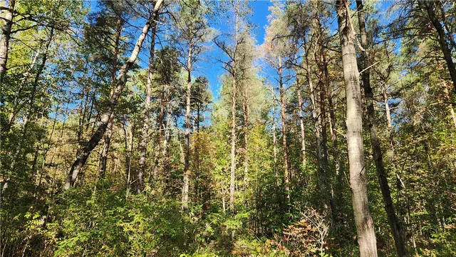 $236,250 | 0 Wagner Road, Arkport, NY 14807