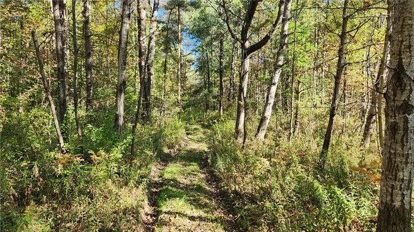 $236,250 | 0 Wagner Road, Arkport, NY 14807