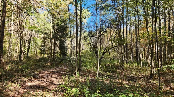$236,250 | 0 Wagner Road, Arkport, NY 14807