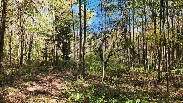 $236,250 | 0 Wagner Road, Arkport, NY 14807