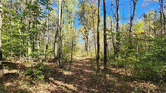 $236,250 | 0 Wagner Road, Arkport, NY 14807