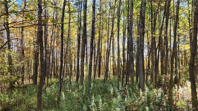 $236,250 | 0 Wagner Road, Arkport, NY 14807