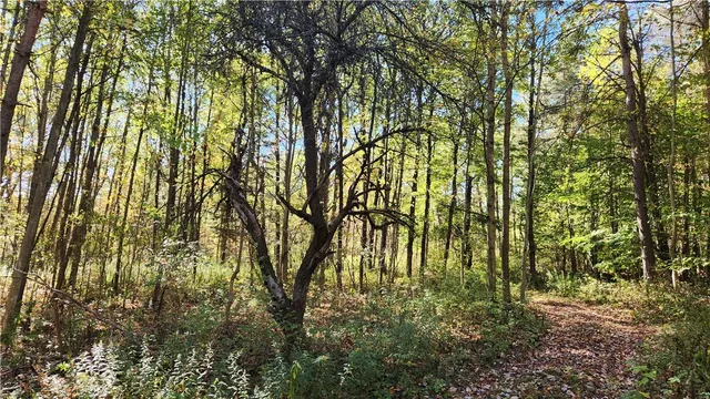 $236,250 | 0 Wagner Road, Arkport, NY 14807