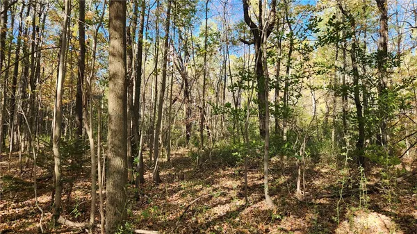 $236,250 | 0 Wagner Road, Arkport, NY 14807