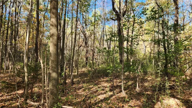 $236,250 | 0 Wagner Road, Arkport, NY 14807