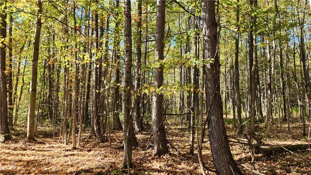 $236,250 | 0 Wagner Road, Arkport, NY 14807