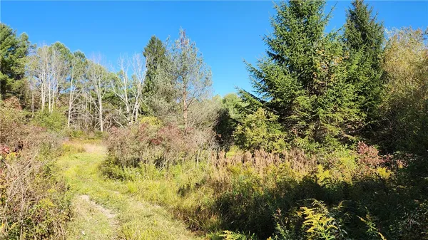 $236,250 | 0 Wagner Road, Arkport, NY 14807