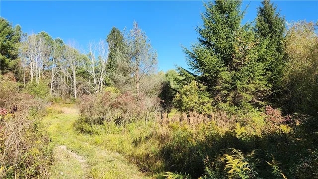 $236,250 | 0 Wagner Road, Arkport, NY 14807