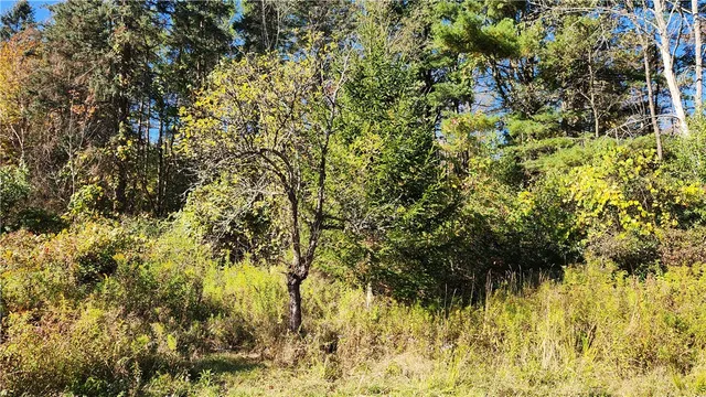 $236,250 | 0 Wagner Road, Arkport, NY 14807