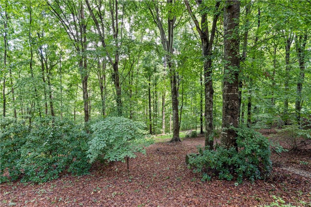 889 Moyers Road Winston-Salem, NC 27104 - Photo 50 of 50