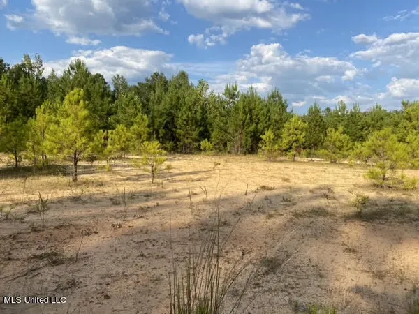 $90,000 | 926 Virgin Mary Road, Camden, MS 39045