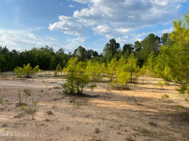 $90,000 | 926 Virgin Mary Road, Camden, MS 39045