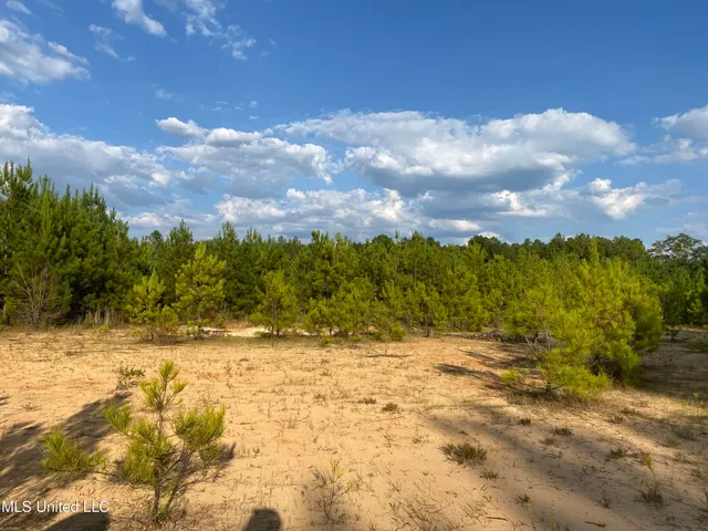 $90,000 | 926 Virgin Mary Road, Camden, MS 39045