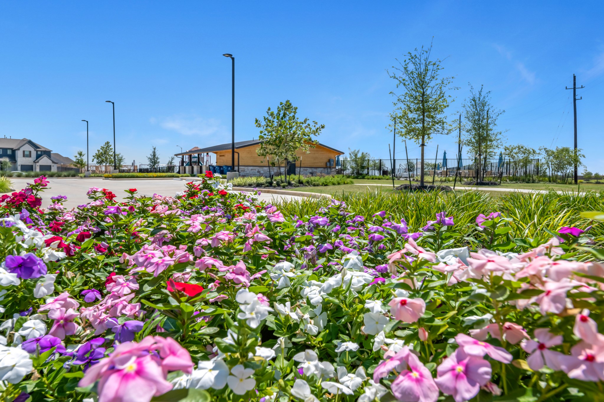 405 Hampton Edge Lane Waller, TX 77484 - Photo 45 of 45 a view of a flower in a garden