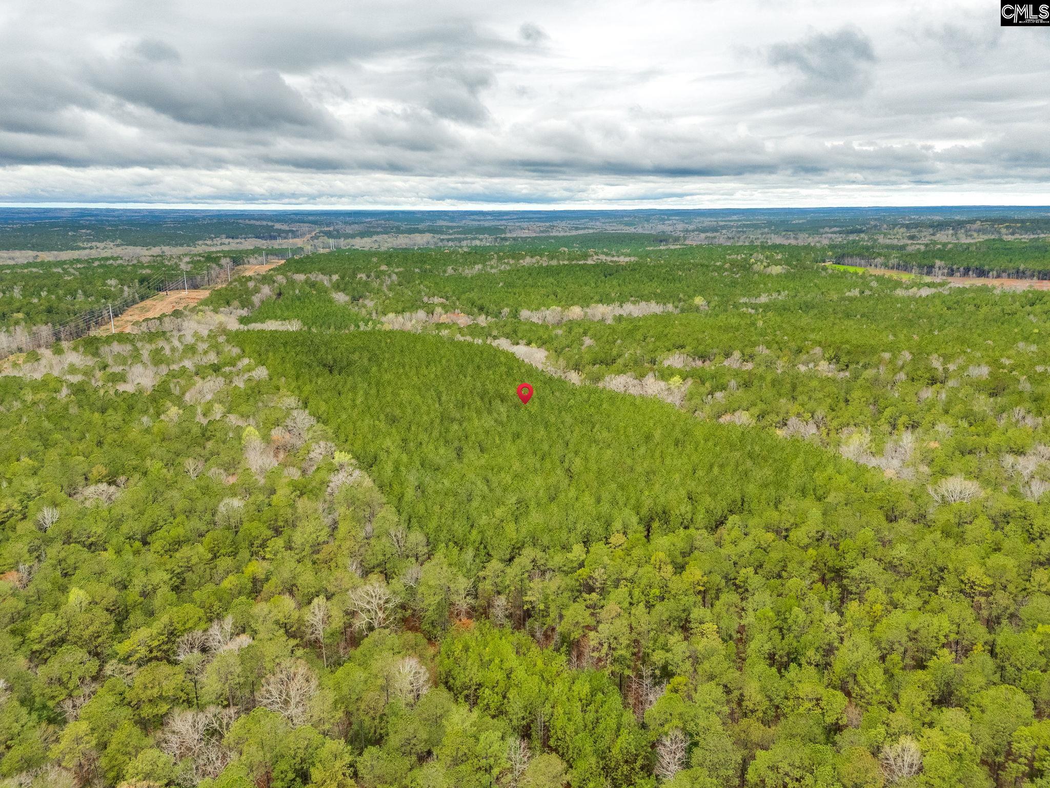 1400 State Rd S-40-944 Winnsboro, SC 29180 - Photo 4 of 11