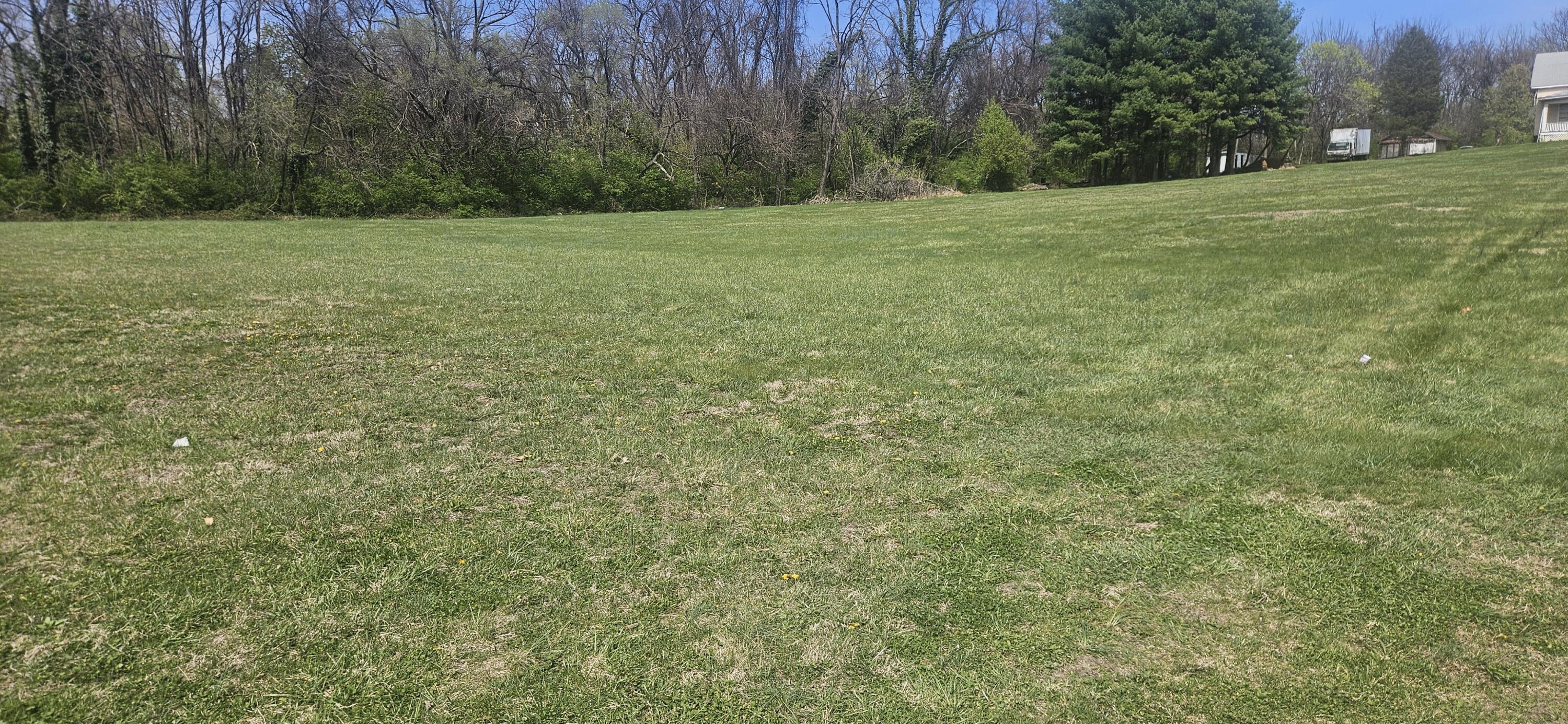 a view of a field with trees