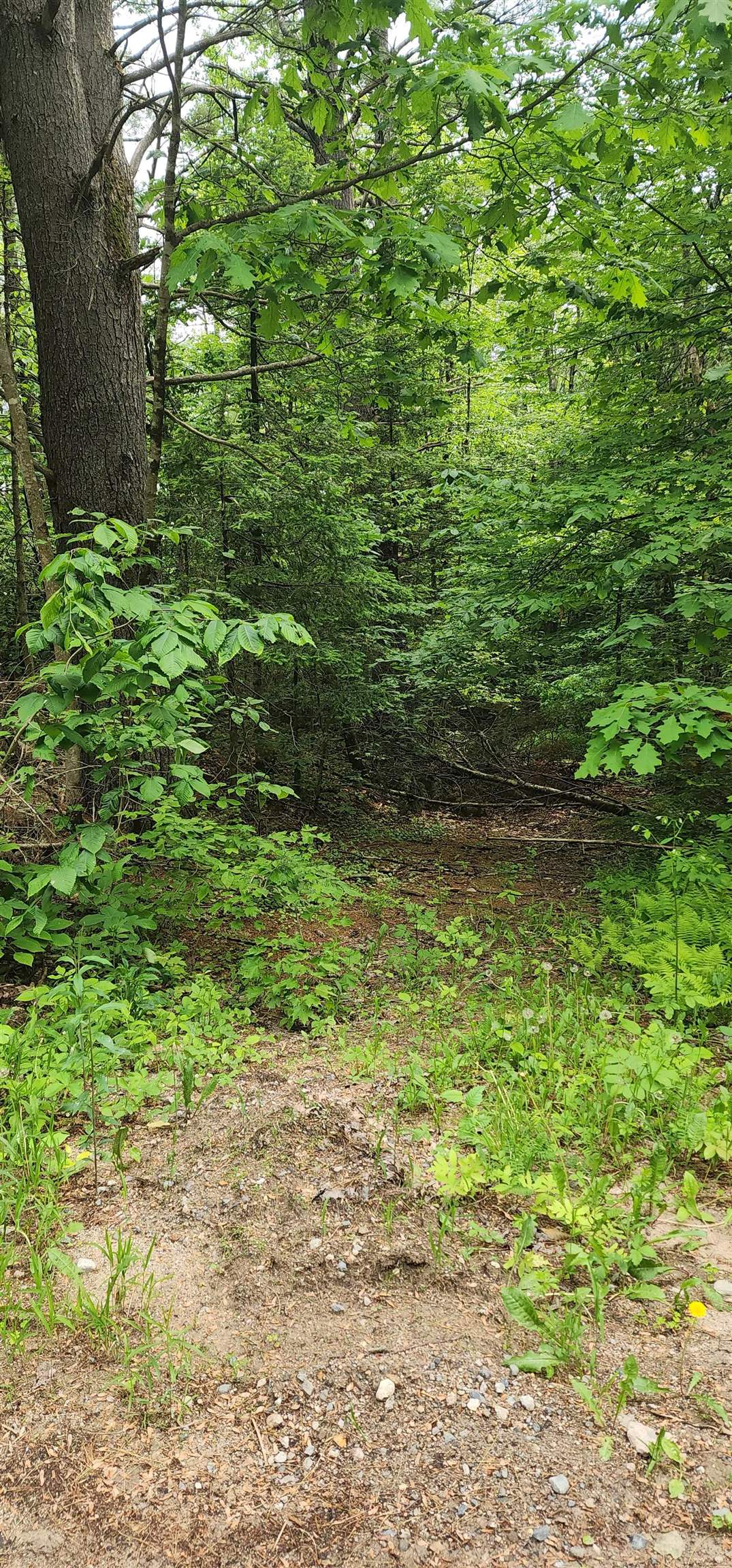 Ridge Road, Unit 3 Middleton, NH 03887 - Photo 1 of 6