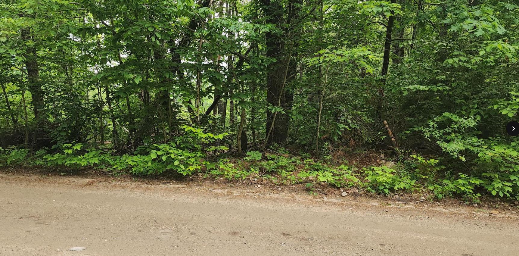 Ridge Road, Unit 3 Middleton, NH 03887 - Photo 2 of 6