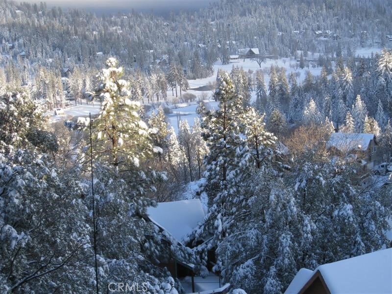 845 Sonoma Drive Lake Arrowhead, CA 92352 - Photo 36 of 49 a picture of tree