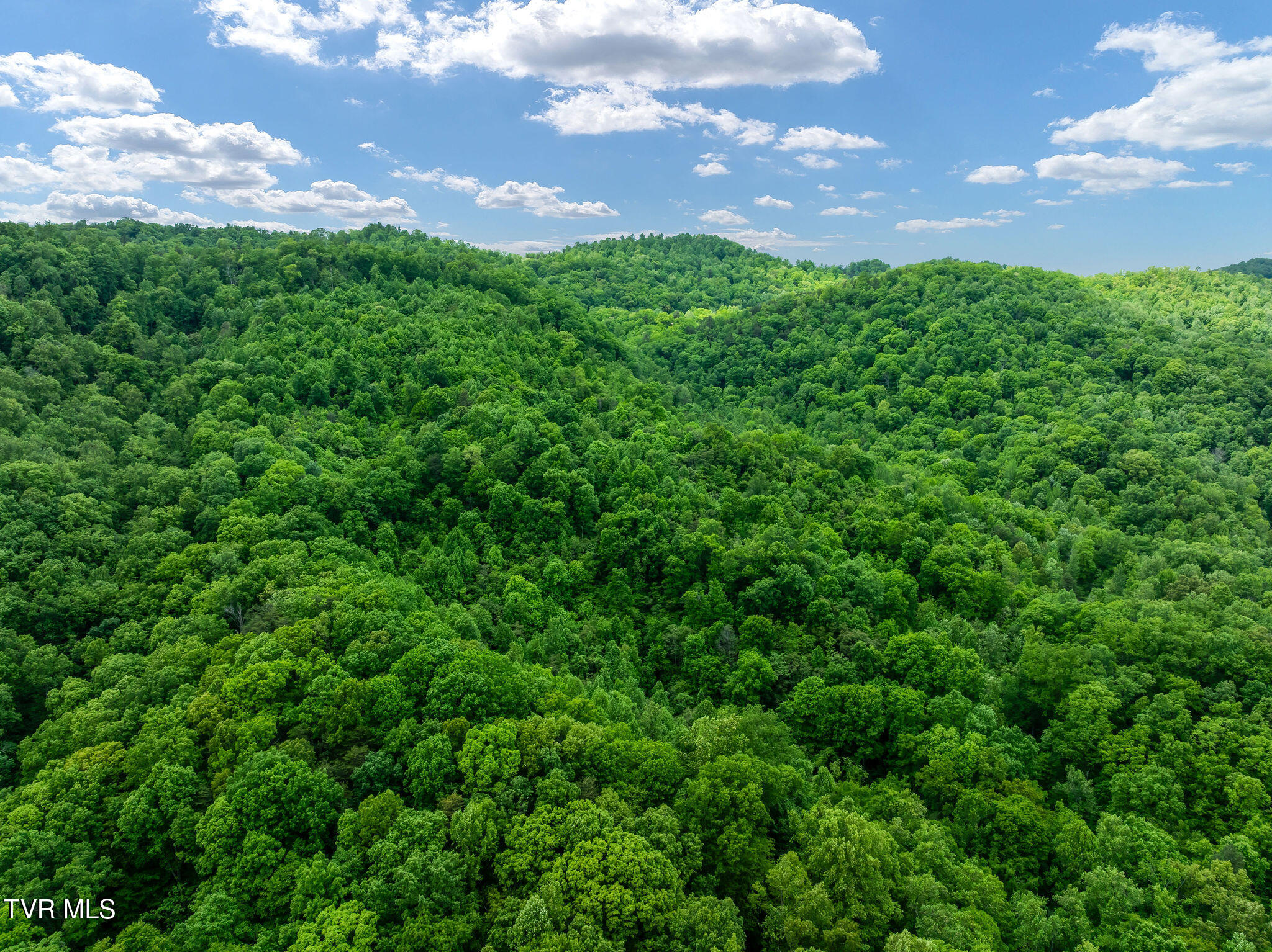 Tbd Wattenbarger Gap Road Greeneville, TN 37745 - Photo 11 of 41 DJI_0998