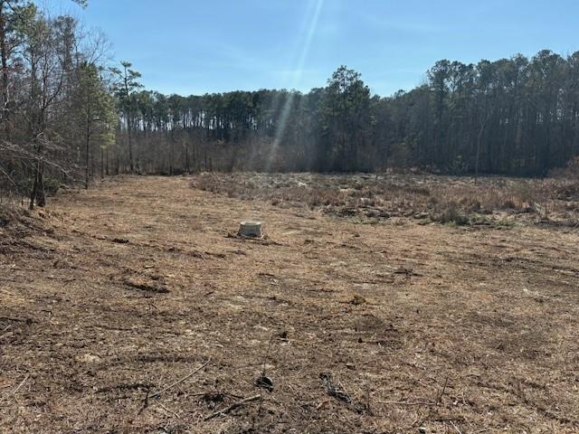 371 Angham Road Hiram, GA 30141 - Photo 3 of 14