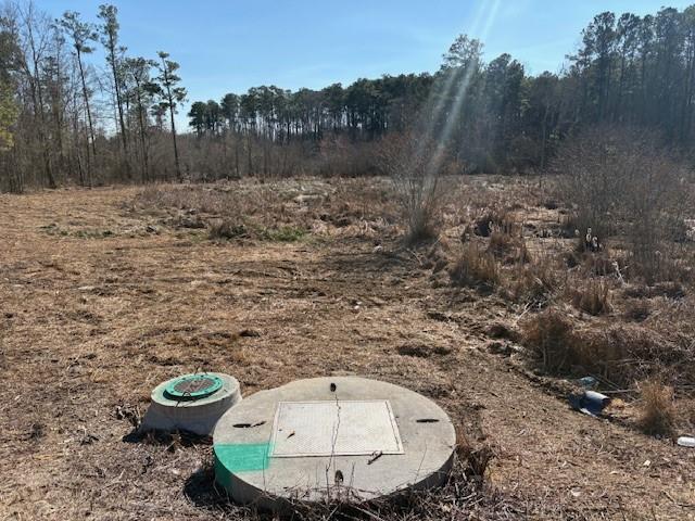 371 Angham Road Hiram, GA 30141 - Photo 4 of 14