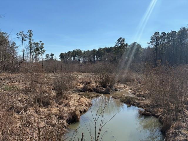 371 Angham Road Hiram, GA 30141 - Photo 6 of 14