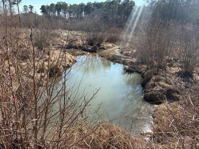 371 Angham Road Hiram, GA 30141 - Photo 7 of 14