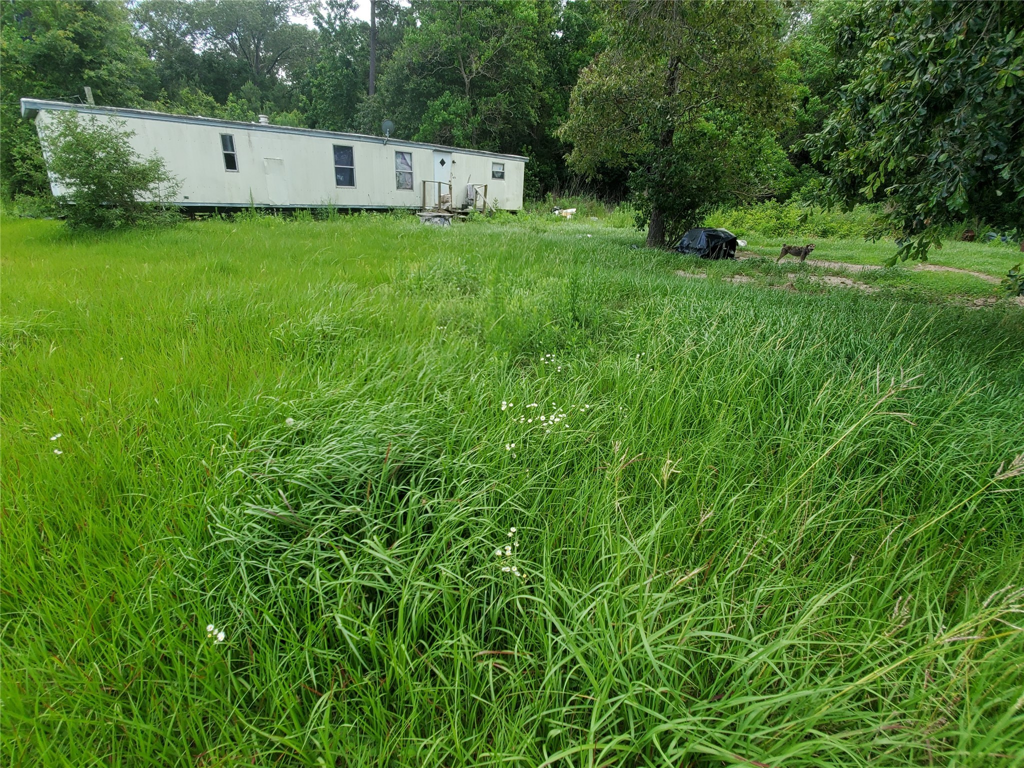 475 Highway 59 Watts, OK 74964 - Photo 9 of 11