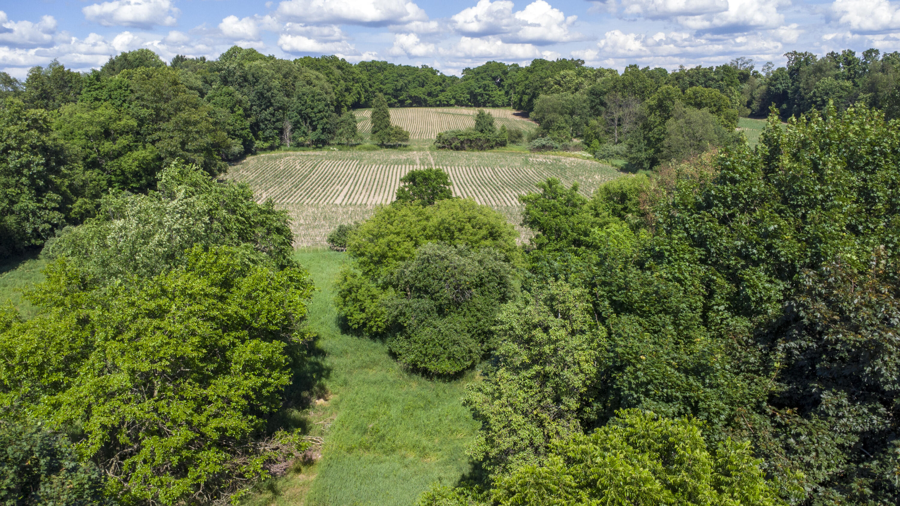 7114 Mabley Hill Road Fenton, MI 48430 - Photo 24 of 35 022_15
