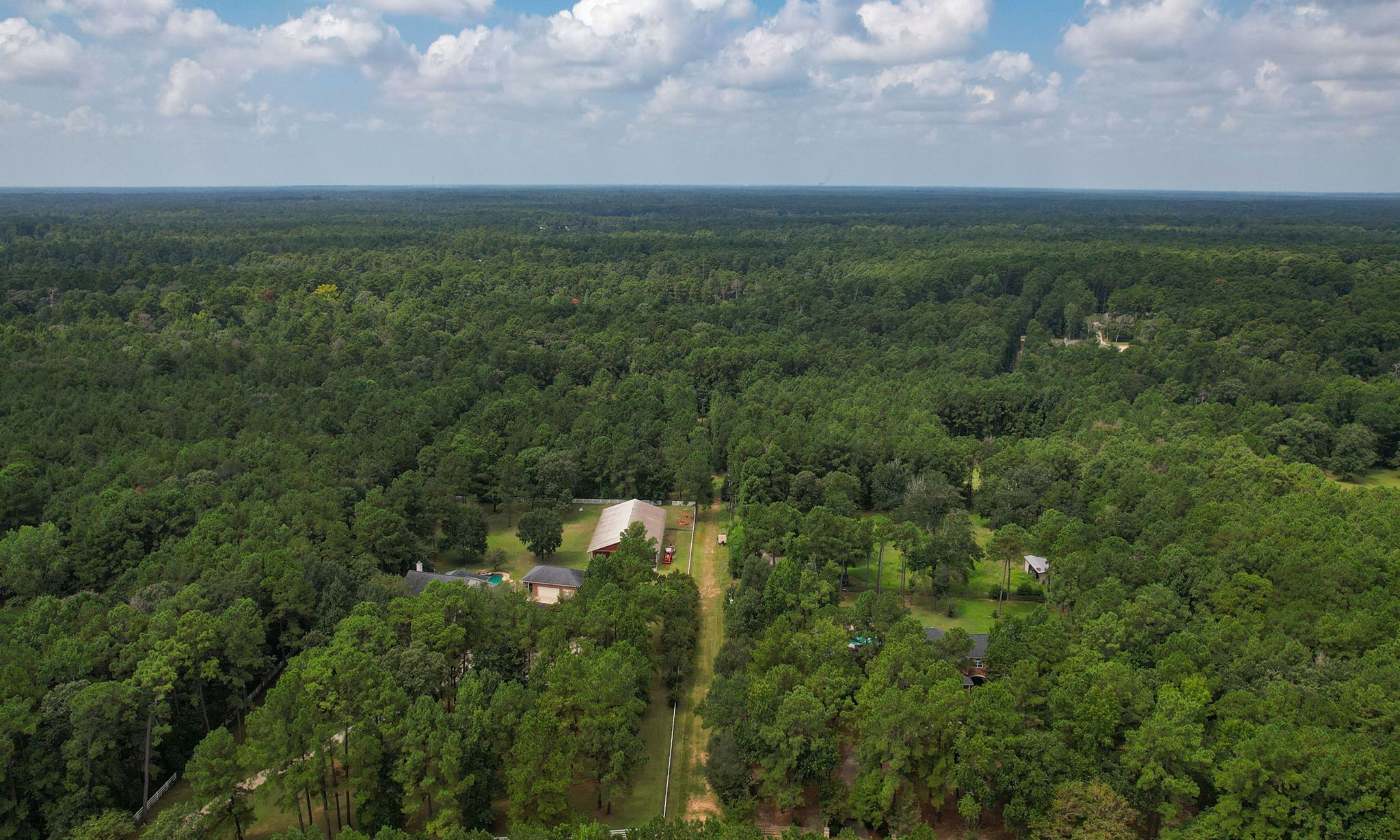0 Whispering Meadow Magnolia, TX 77355 - Photo 9 of 14 a view of a bunch of trees and bushes