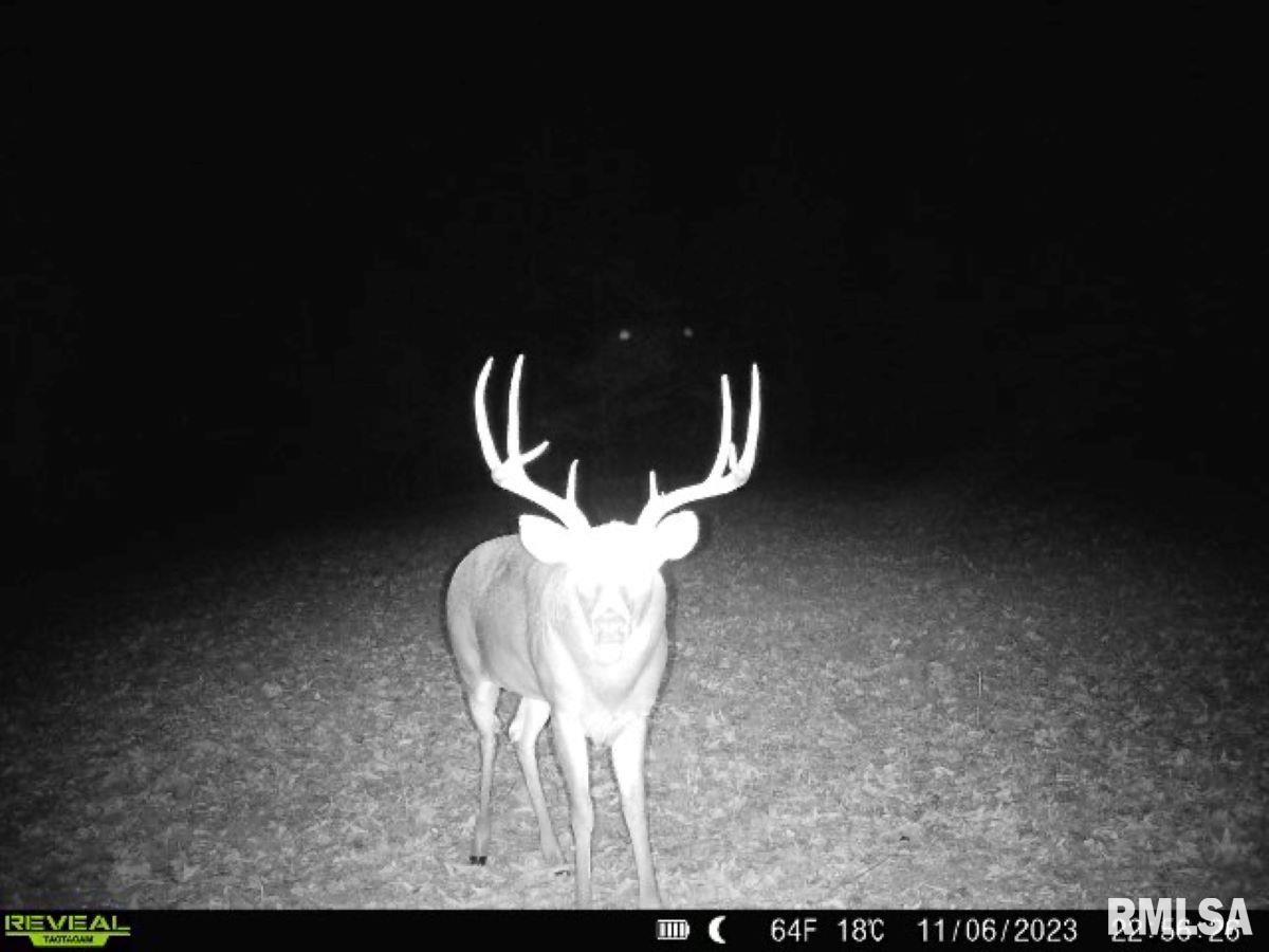 0 Grand Pierre Drive Golconda, IL 62938 - Photo 1 of 68