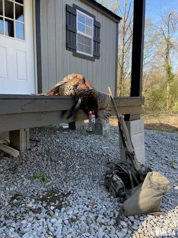 $619,000 | 0 Grand Pierre Drive, Golconda, IL 62938