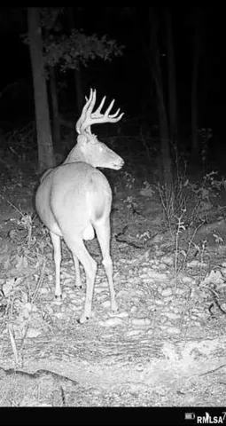 $619,000 | 0 Grand Pierre Drive, Golconda, IL 62938