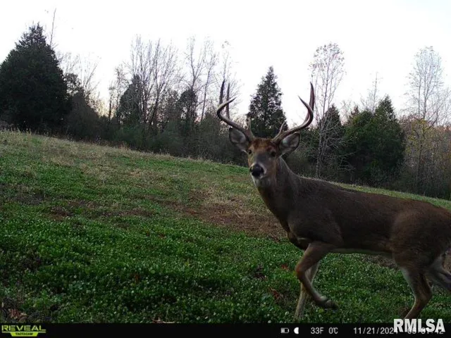 $619,000 | 0 Grand Pierre Drive, Golconda, IL 62938