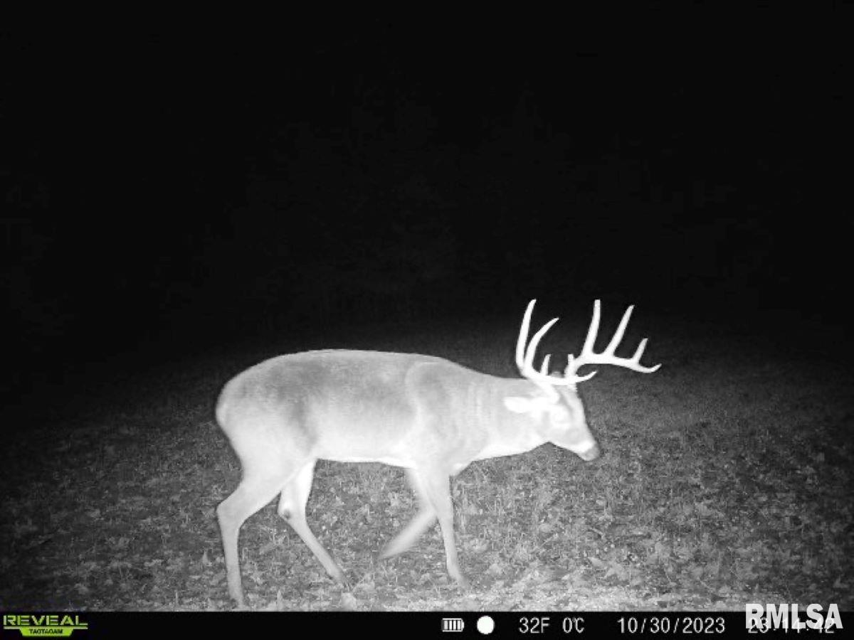 0 Grand Pierre Drive Golconda, IL 62938 - Photo 24 of 68