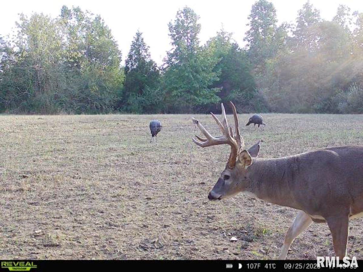 0 Grand Pierre Drive Golconda, IL 62938 - Photo 25 of 68