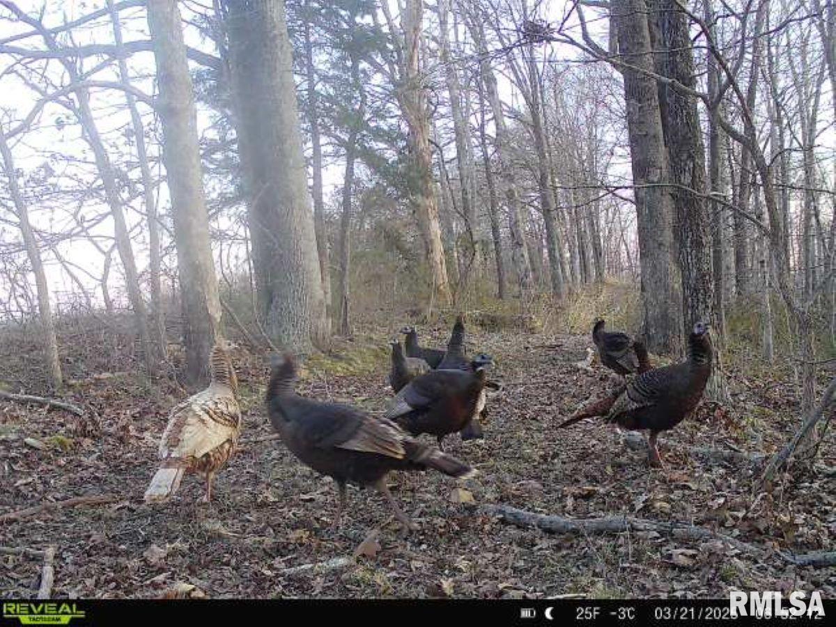 0 Grand Pierre Drive Golconda, IL 62938 - Photo 26 of 68