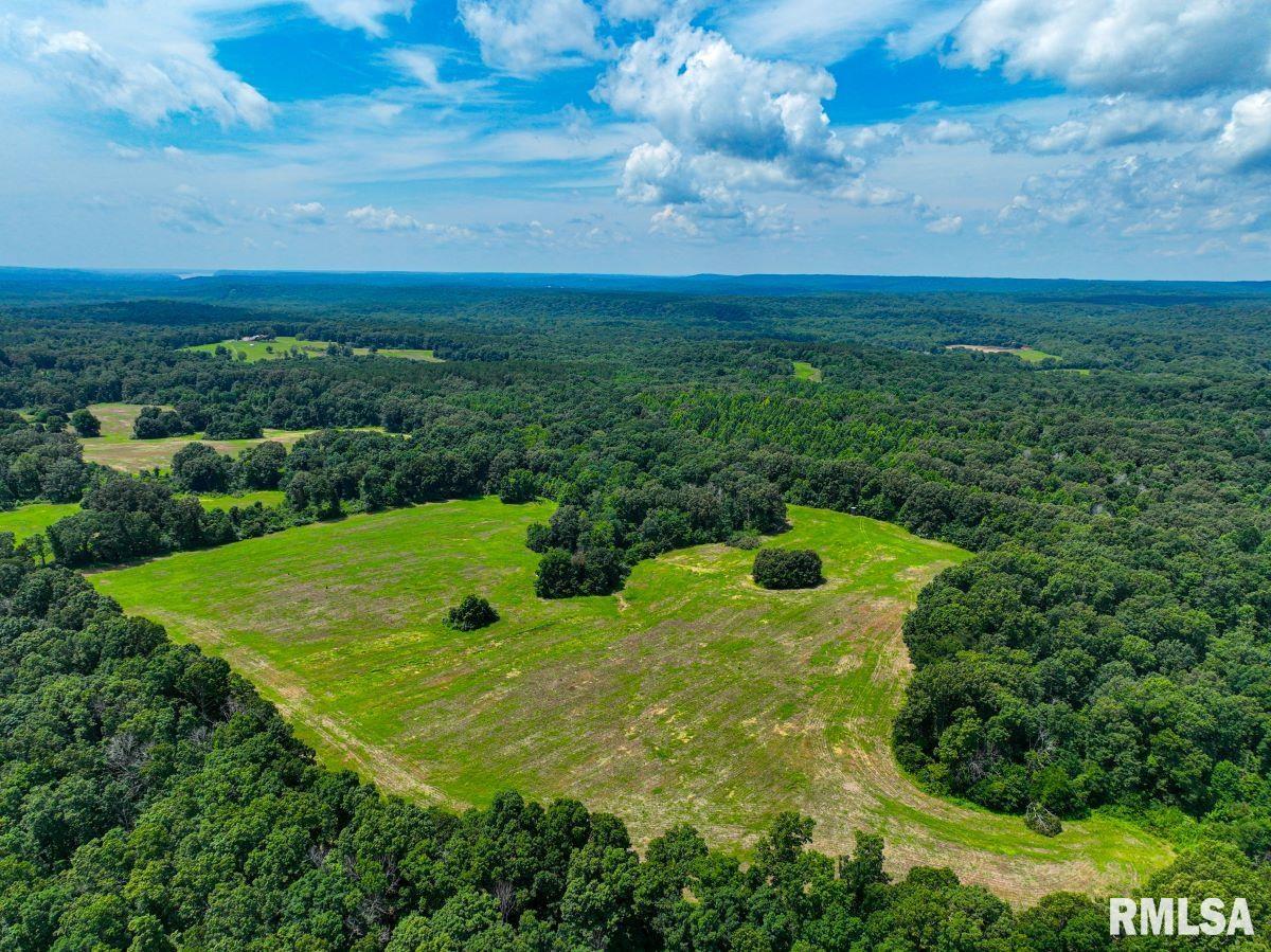 0 Grand Pierre Drive Golconda, IL 62938 - Photo 27 of 68