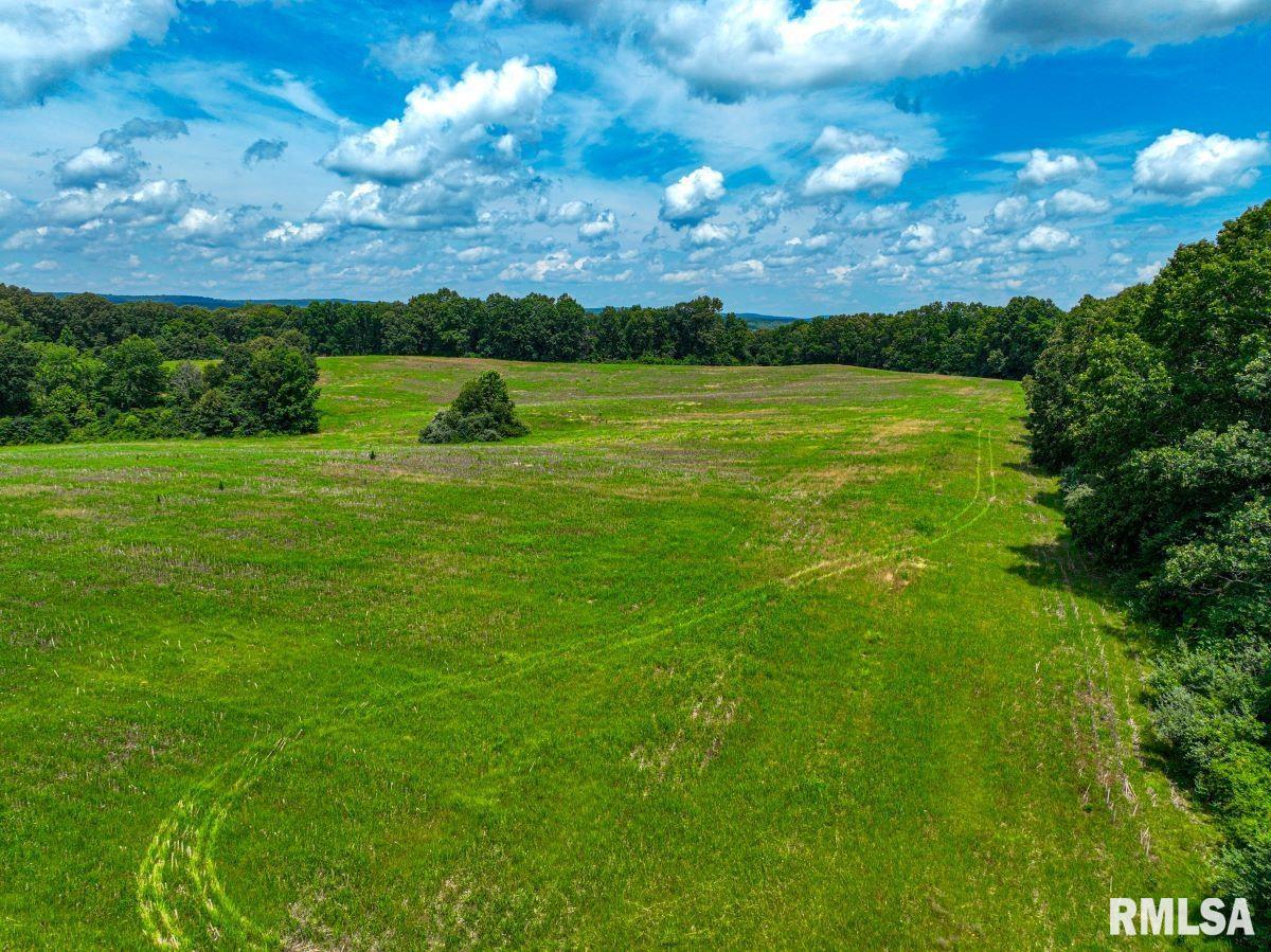 0 Grand Pierre Drive Golconda, IL 62938 - Photo 28 of 68