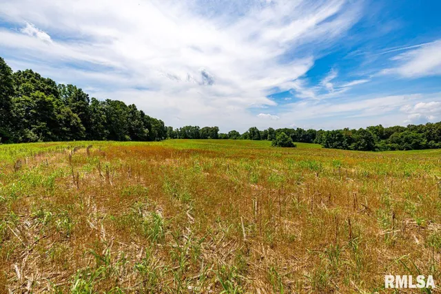 $619,000 | 0 Grand Pierre Drive, Golconda, IL 62938