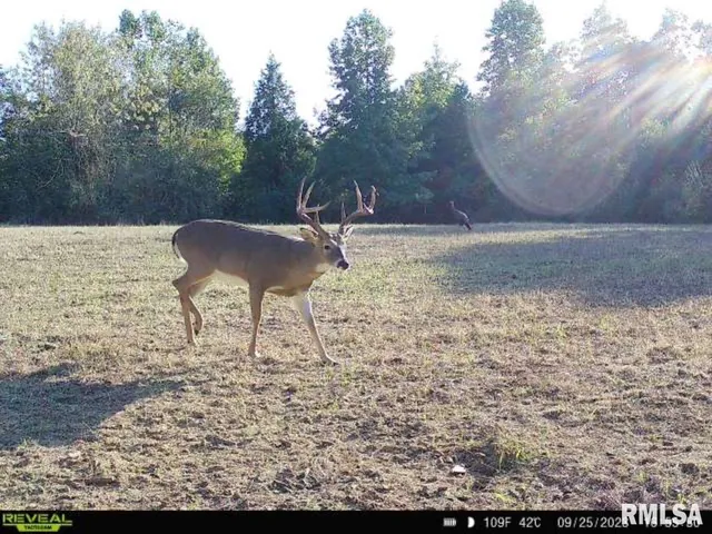 $619,000 | 0 Grand Pierre Drive, Golconda, IL 62938