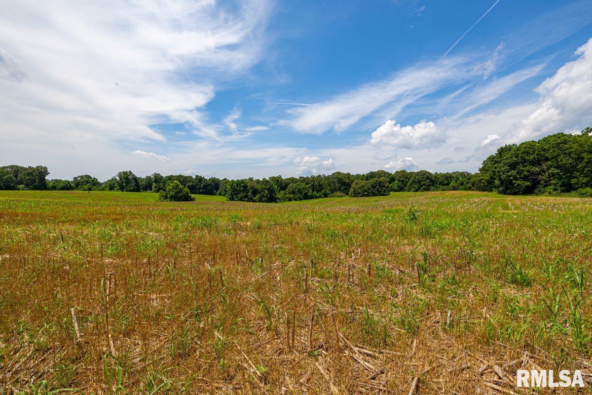 0 Grand Pierre Drive Golconda, IL 62938 - Photo 31 of 68