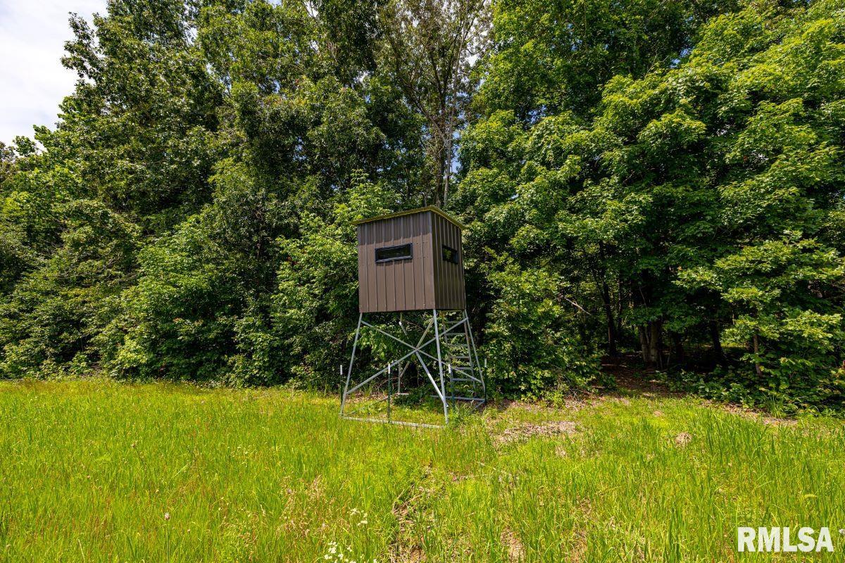 0 Grand Pierre Drive Golconda, IL 62938 - Photo 32 of 68