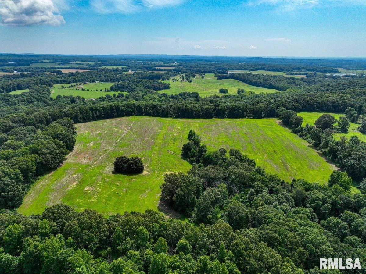 0 Grand Pierre Drive Golconda, IL 62938 - Photo 33 of 68