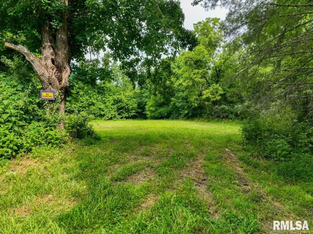 $619,000 | 0 Grand Pierre Drive, Golconda, IL 62938